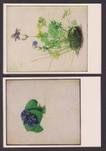 Ansichtskarte Albrecht Dürer Kunstmappe 5 Karten Handzeichnungen