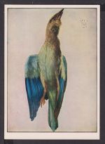 Ansichtskarte Albrecht Dürer Kunstmappe 5 Karten Handzeichnungen