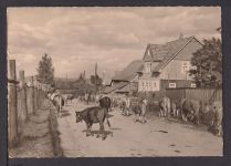 Ansichtskarte Crawinkel Thüringen Eintrieb der Kühe Leipzig Sachsen