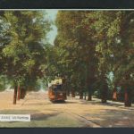 Ansichtskarte Southampton Großbritannien The Avenue Halle Sachsen-Anhalt