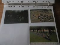 Nachlass Ansichtskarten ungewöhnliche Sammlung 345 alten AK u.a. Militaria Krieg