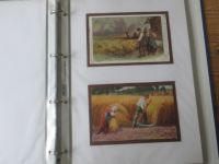 Nachlass Ansichtskarten Sammlung Landwirtschaft Landleben u.a. 37 Stck meist in