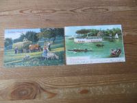 Pfingsten Nachlass Ansichtskarten Luxus Sammlung gesamt ca. 136 alten Farbkarten