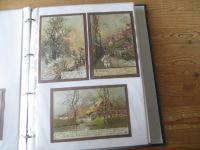 Schöne Ansichtskarten Sammlung Thematik wie Wintersport Jahreszeiten Monats -