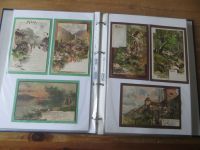 Schöne Ansichtskarten Sammlung Thematik wie Wintersport Jahreszeiten Monats -