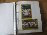 Trachten Nachlass Ansichtskarten Luxus Sammlung gesamt ca. 102 alte Farbkarten