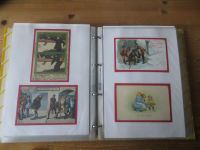 Ansichtskarten Humor einmalige Sammlung muß man gesehen haben 160 Stck oft spiegelt