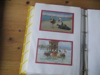 Ansichtskarten Humor einmalige Sammlung muß man gesehen haben 160 Stck oft spiegelt