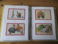 Ansichtskarten Humor einmalige Sammlung muß man gesehen haben 160 Stck oft spiegelt