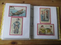 Ansichtskarten Humor einmalige Sammlung muß man gesehen haben 160 Stck oft spiegelt