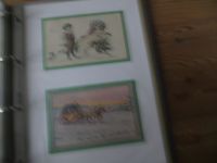 Neujahr sehr schöne Ansichtskarten Sammlung v ca. 119 Stck dabei tolle Künstler