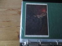 Ansichtskarten gute Sammlung Motiv Kinder guter Nachlass ca 120 Ak oft Jugendstil