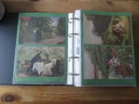 Ansichtskarten gute Sammlung Motiv Frauen bzw. Mann + Frau + Kinder 74 Ak oft Jugendstil