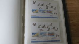 Bundesrepublik Sammlung Blöcke ab Nr. 2 Beethoven -2012 165 Stück oft postfrisch