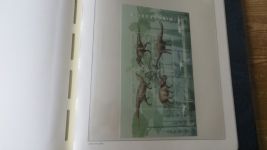 Bundesrepublik Sammlung Blöcke ab Nr. 2 Beethoven -2012 165 Stück oft postfrisch