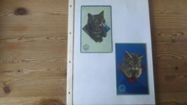 Nachlass Katzen Ansichtskarten gute Reklame Sammlung Hoffmann Stärke 24 St selten