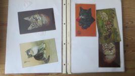 Nachlass Katzen Ansichtskarten gute Reklame Sammlung Hoffmann Stärke 24 St selten