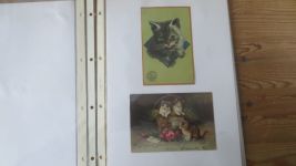 Nachlass Katzen Ansichtskarten gute Reklame Sammlung Hoffmann Stärke 24 St selten