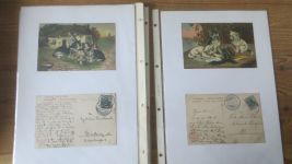 Nachlass Katzen Ansichtskarten gute Reklame Sammlung Hoffmann Stärke 24 St selten
