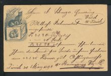 Schweiz Reklame Privatganzsache Hoffmann Stärke mit der Katze ab Zürich n Wald