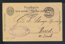 Schweiz Reklame Privatganzsache Hoffmann Stärke mit der Katze ab Zürich n Wald