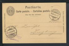 Schweiz Reklame Privatganzsache Hoffmann Stärke mit der Katze Richterswil nach