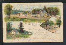 Litho Ansichtskarte Bielitz Schlesien Zigeunerwald Bielsko Polen Restaurant