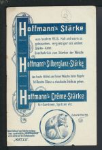 Ansichtskarte Bremen Totalansicht Reklame Hoffmann Stärke Katze siehe Rückseite