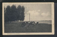 Ansichtskarte Grossmöllen Mielno Strandhof Ostgebiete Polen Pommern Rudolstadt
