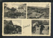 Ansichtskarte Extertal Lippe NRW Pension Zum grünen Tal Krnov Tschechien Pferde