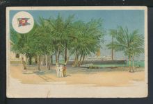 Ansichtskarte Belgisch Kongo Boma Afrika Dison Belgien 1911