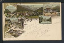 Litho Ansichtskarte Sulzburg Baden-Württemberg Hotel z. Markgrafen Basel Schweiz