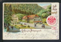 Schöne Litho Ansichtskarte Bad Sulzburg Baden-Württemberg Luft und Wald Kuranstalt