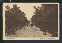 Ansichtskarte Râmnicu Rumänien Allee Feldpost Heidelberg Baden-Württemberg