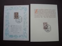 Argentinien inter. Sammlung von Briefen Dokumenten und Sonderausgaben