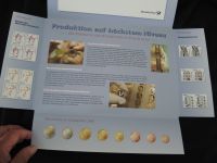 Deutschland KMS Kursmünzen & Briefmarken Deutsche Post 2000-2003 Luxus Erhaltung