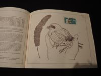 Europa Cept Philatelie Philatelistisches Jahrbuch Natur- und Umweltschutz