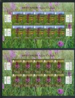 Großbritannien Jersey Kleinbogen Satz 1080-1085 Orchideen Blumen Planzen Flora