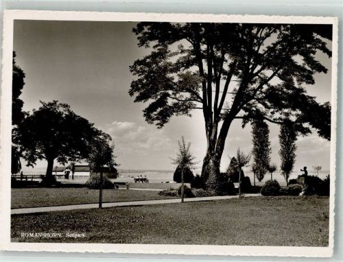 8590 Romanshorn 1951 Foto AK Seepark