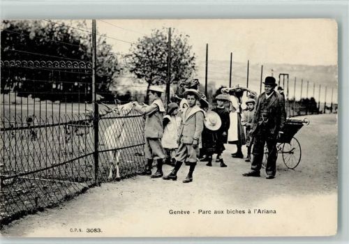 Genève Genf Verlag C.P.N. 3083 - Parc aux biches a Ariana, AK Zoo 1914