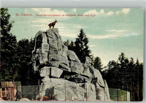 St. Gallen S. Gallo Neuer Steinbockfelsen im Wildpark Peter u. Paul Steinböcke Zoo 1909