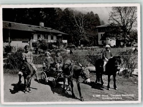 Bern Berne Tierpark Dählhölzli - Kinderspielplatz - Pony-Reiten, Eselkutsche Zoo 1952