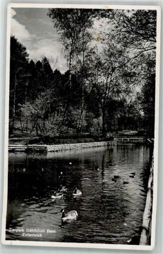Bern Berne Tierpark Dählhölzli Ententeich Zoo 1940 Foto AK