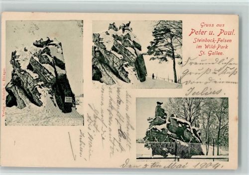 St. Gallen S. Gallo Wild-Park, Steinbock Felsen im Winter AK Zoo 1904