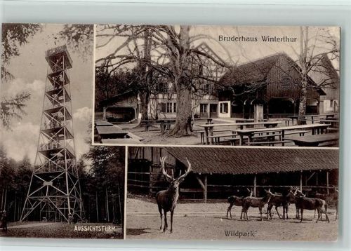 Winterthur Aussichtsturm, Wildpark , Bruderhaus AK Zoo 1935