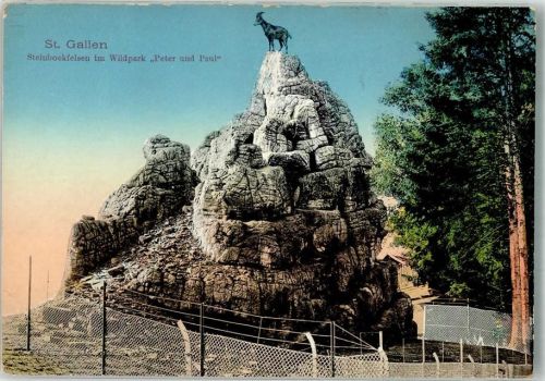 St. Gallen S. Gallo Steinbockfelsen im Wildpark Peter u. Paul Steinböcke Zoo