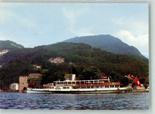 Raddampfer Uri auf dem Vierwaldstättersee Binnenschiff Foto AK