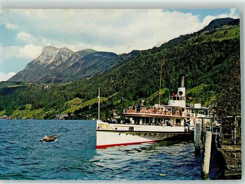 Beckenried Raddampfer Schiller auf dem Vierwaldstättersee Binnenschiff Foto AK