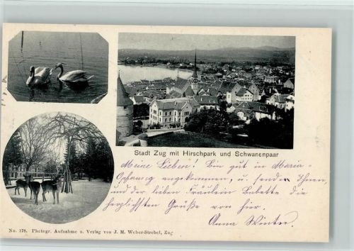 Zug Zugo Verlag Weber-Strebel Nr. 178 - Hirschpark, Schwanenpaar AK Zoo 1901