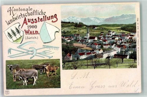 8636 Wald ZH Foto AK Landwirtschaftliche Ausstellung 1900